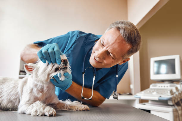 Best Weekend Emergency Dentist in Edison, GA